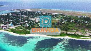 Beautiful Maamigili  Home of Dravida Hotels [upl. by Anoiek435]