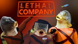 три бесстрашных окуня Lethal Company [upl. by Isidoro149]