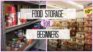 Food Storage  Stockpile Pantry For Beginners [upl. by Cinnamon]