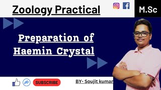 Haemin Crystal preparation of fish and human  Zoology practical  UG and PG [upl. by Balliett]