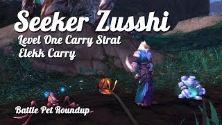 Seeker Zusshi  level 1 carry [upl. by Kellia324]