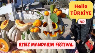 BİTEZ MANDARİN FESTİVAL BODRUM TURKEY [upl. by Bamby]