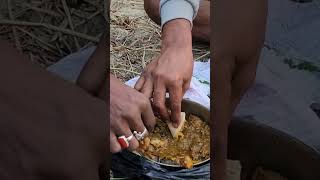 Eating Chicken In Paddy Fild shorts food [upl. by Martsen168]