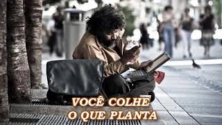 VOCÊ COLHE O QUE PLANTA UMA LINDA REFLEXÃO DE VIDA veja motivação reflexão foco [upl. by Eiramaneet]