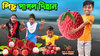 লিচু পাগল দিহান  lichu pagol dihan  bengali fairy tales  dihan  bihar [upl. by Roane]