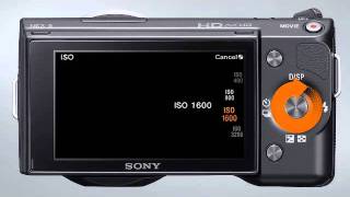 NEX ISO Settings [upl. by Ajin]