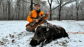 Vanatoare de mistret la goana  Wild Boar Driven Hunt [upl. by Spevek6]