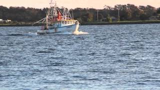 Macleay River Evening [upl. by Airotcivairam]