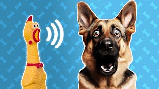 5 Squeaky Toy Sound For Dogs  Dog Sounds and Noises [upl. by Ploch]