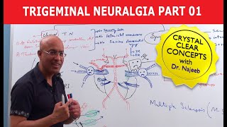 Trigeminal Neuralgia  Causes and Treatment  Part 1 [upl. by Eicarg]