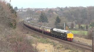 Class 40 D213 Andania storms up the bank at Relly Mill Durham with 1Z70  261123 [upl. by Ielarol728]