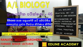 Determination of solute potential of Rhoeo epidermal peels  Part 6Final session AL Bio Practicals [upl. by Carothers]