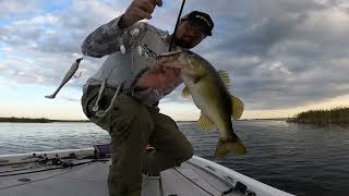 Bass fishing Fellsmere lake  October 2024 [upl. by Ennalyrehc]