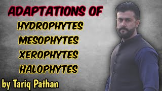 Chapter Homeostasis Hydrophytes  Mesophytes  Xerophytes  Halophytes Adaptations by Tariq Pathan [upl. by Mamoun]