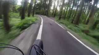 【GoPro】ファットバイクで林道ダウンヒル！【FATBIKE】 [upl. by Page]