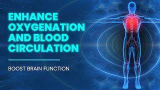 Enhance Oxygenation And Blood Circulation In The Body  Boost Brain Function amp Cellular Respiration [upl. by Row93]