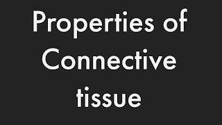 properties of connective tissue in detail [upl. by Cigam]