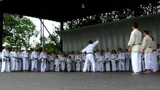 Kata Kusanku  Ueshiro ShorinRyu Karate USA [upl. by Mylor655]