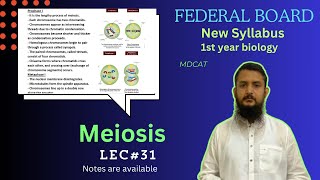 Meiosis  Stage of meiosis  Significance of meiosis  class 11 [upl. by Eilujna420]