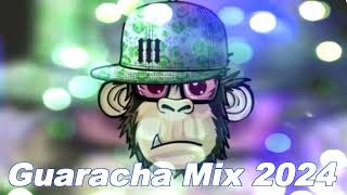 Guaracha Mix 2024  Aleteo Zapateo y Guaracha 2024 [upl. by Ireva308]