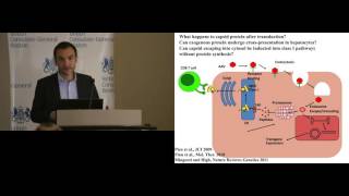 Federico Mingozzi Assessing and modulating immune responses to AAV vectors in humans [upl. by Muhammad908]