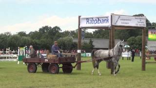 Zuidenveld Schoonebeek 2012  Concours Hippique [upl. by Auqkinahs418]