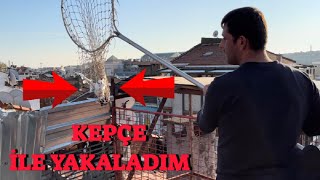 Kümes Ziyareti Kepçe İle Güvercin Yakaladım  İki Saat Peşinden Koştum [upl. by Assile967]