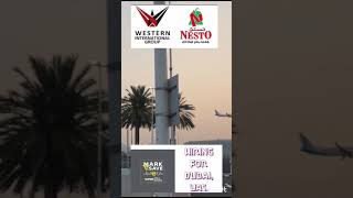 15 August 2024 Nesto Hypermarket job vacancy gulfjobs abroadjobinformation [upl. by Kartis]