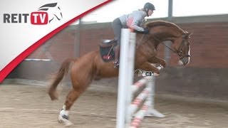 Ausrüstung Trainingshilfe Coach Phone  so wird der Reitunterricht erleichtert [upl. by Iel]