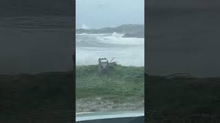 Storm darragh penryn Cemaes Bay Anglesey [upl. by Cherida469]