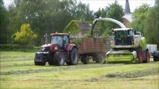 Claas Jaguar 950 Gras häckseln 2014 im Oderbruch [upl. by Georgetta369]