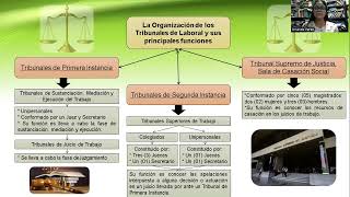 La Organización de los Tribunales Laborales en Venezuela [upl. by Condon115]