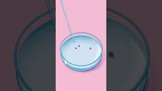 How Does IVF Work [upl. by Earb]