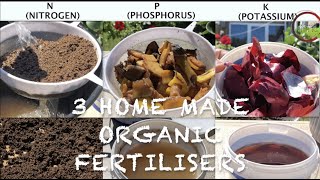 How to make  3 Homemade ORGANIC FERTILISERS in 4 minutes  NPK  Homemade Fertilizer  100 results [upl. by Martsen]