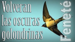 QUIZAS EL MAS BELLO DE LOS POEMAS  VOLVERAN LAS OSCURAS GOLONDRINAS  Recitado por FENETÉ [upl. by Leisha]