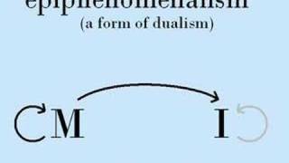 Why Epiphenomenalism Must be Wrong [upl. by Burrows]