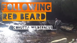 The Cohutta Wilderness HD [upl. by Oakleil]