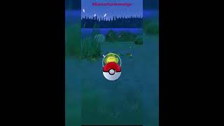 Caught Sewaddle in Pokemon Go [upl. by Cilurzo609]