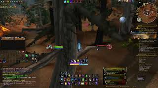 Hellscreams Legacy  Quest 25616  World of Warcraft [upl. by Uriiah]