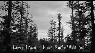 ludovico Einaudi  Nuvole Bianche Violin cover  2mins [upl. by Klusek]