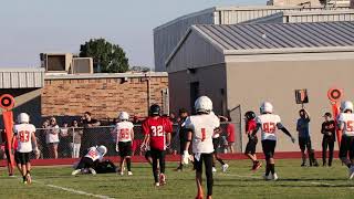 ALEDO 21  Hit to Force a Fumble [upl. by Daney]