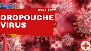 Oropouche Virus The Silent Threat Spreading Across the Globe [upl. by Ludba]