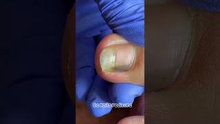 Nails satisfying pedicure nails satisfying pedicure [upl. by Dlaregztif]