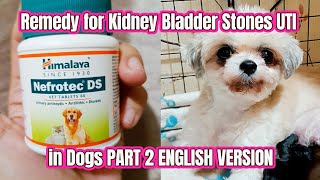 Remedy for Kidney Bladder Stones UTI in Dogs  NEFROTEC DS Part 2 ENGLISH doglover dog pets [upl. by Chadbourne847]