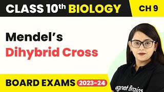 Class 10 Biology Chapter 9  Mendel’s Dihybrid Cross  Heredity And Evolution [upl. by Tem]