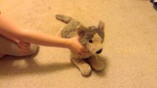 Stuffed animal music video pop danthology [upl. by Marina986]