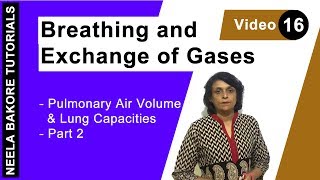 Breathing and Exchange of Gases  NEET  Pulmonary Air Volume amp Lung Capacities  Part 2  Dr Neela [upl. by Quin]