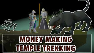 OSRS MONEY MAKING MEMBER  Temple Trekking 800k12M por hora osrs Español 2022 [upl. by Yaner]