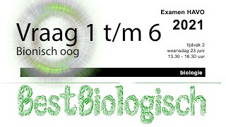 Biologie examen Havo 2021 2e tijdvak vraag 1 tm 6 [upl. by Jahdiel]