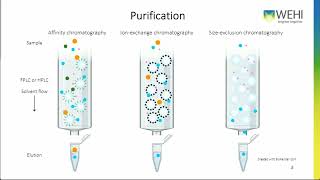 Protein Expression Webinar [upl. by Noeht693]